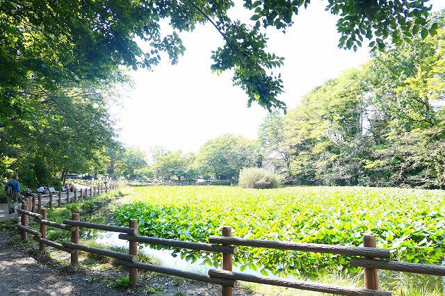 菊名池公園