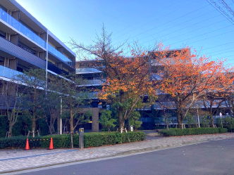 東急東横線妙蓮寺駅 中古ﾏﾝｼｮﾝ 6300万円