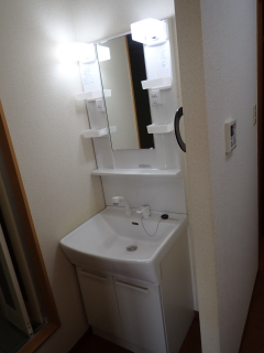 シャンプードレッサー