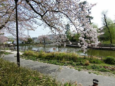 白幡池公園：4分