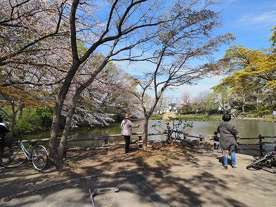菊名池公園：8分