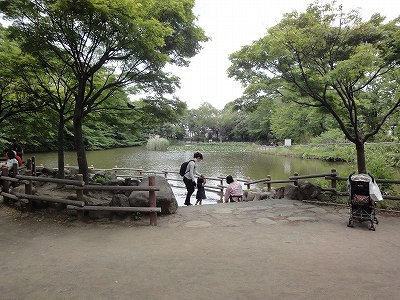 菊名池公園:5分