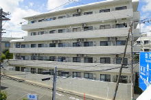 東急東横線妙蓮寺駅 MS 3DK